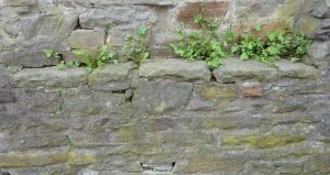 foto_3_stadtbefestigung